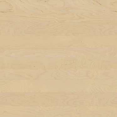 Diffuse (Varnished)