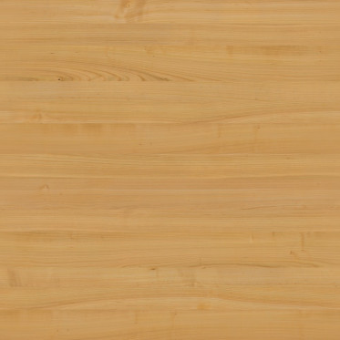 Diffuse (Varnished)