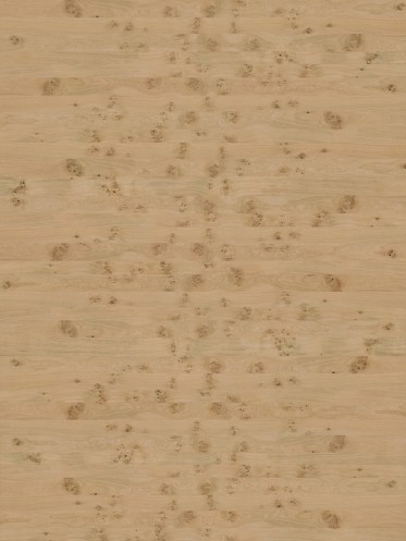 Diffuse (Raw)