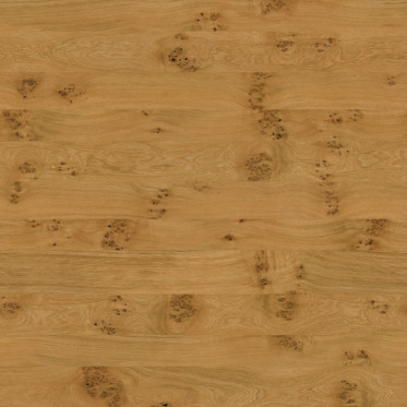 Diffuse (Varnished)