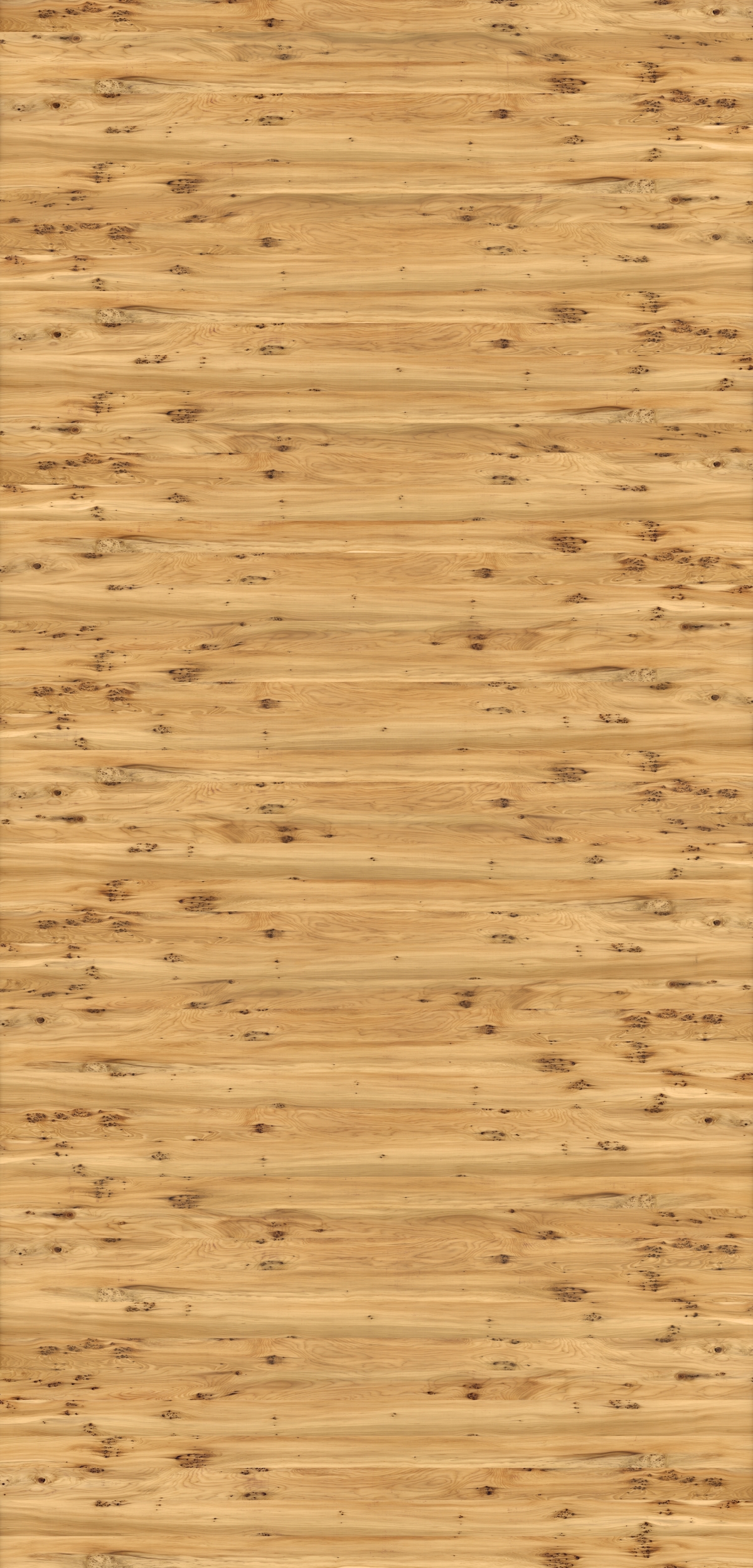 European Yew Veneer Texture (wood 045v2) Arroway Textures