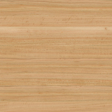 Diffuse (Varnished)