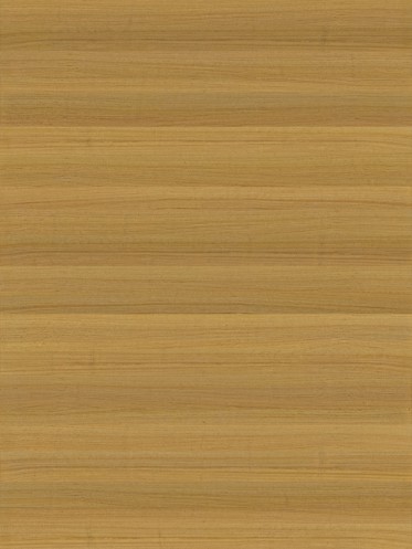 Diffuse (Raw)