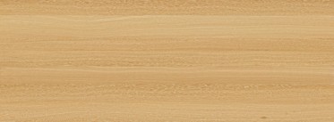 Diffuse (Raw)