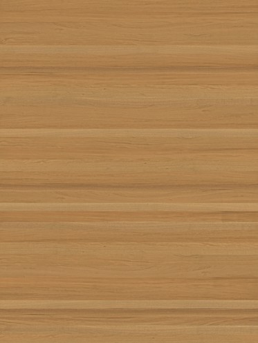 Diffuse (Raw)