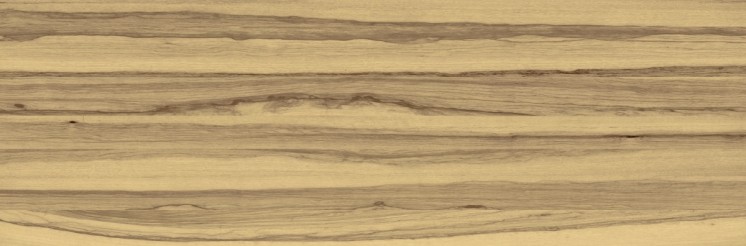 Diffuse (Raw)