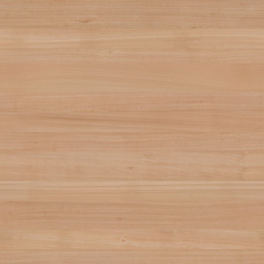 Diffuse (Raw)
