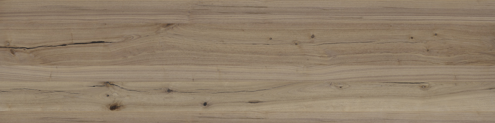 corona renderer 8 crack corona renderer 8 crack
