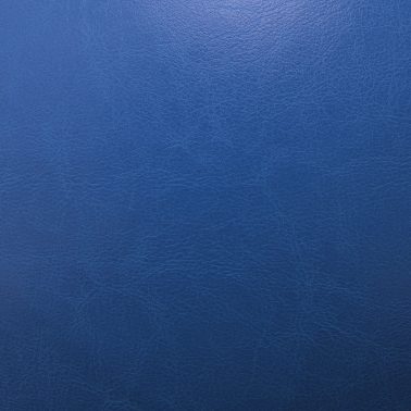 leather 009