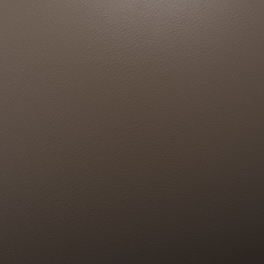 leather 018