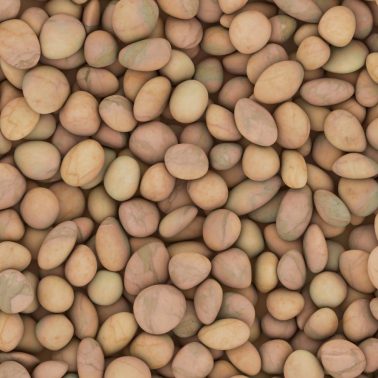 crop_gravel-035_2