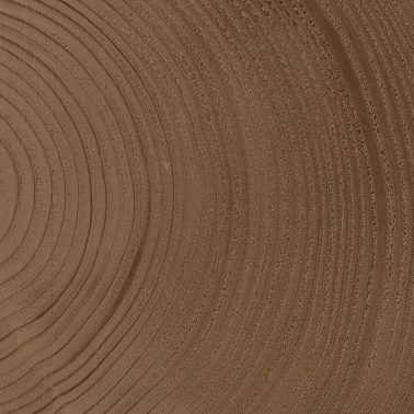 timber-016