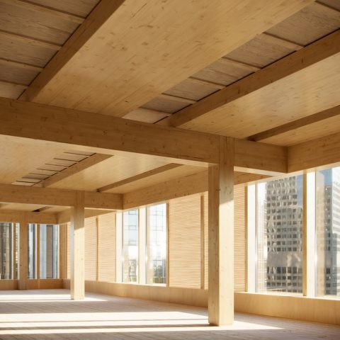 Design|Craft-5, Demo