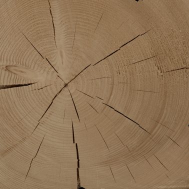 timber-013