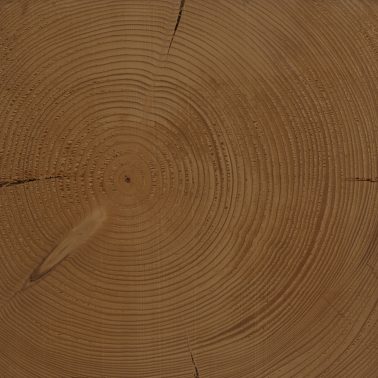 timber-016