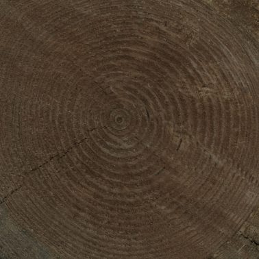 timber-018