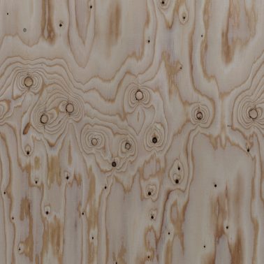 timber-026