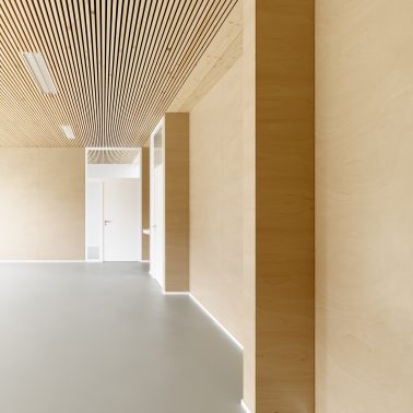 timber-020