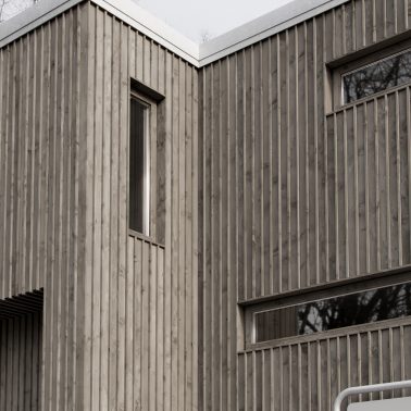 timber-011