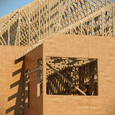 timber-022