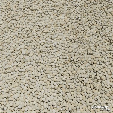 demo_gravel-040-01_2