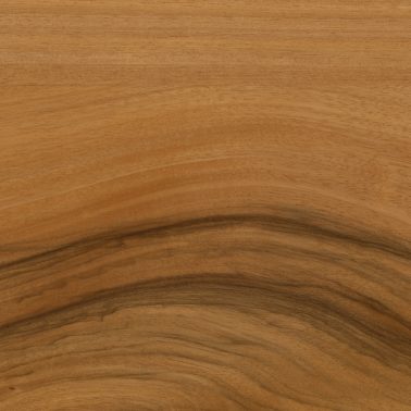 wood 110v2
